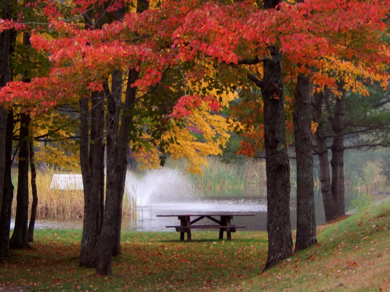 Picnic tables by the duck pond fountain in autumn
