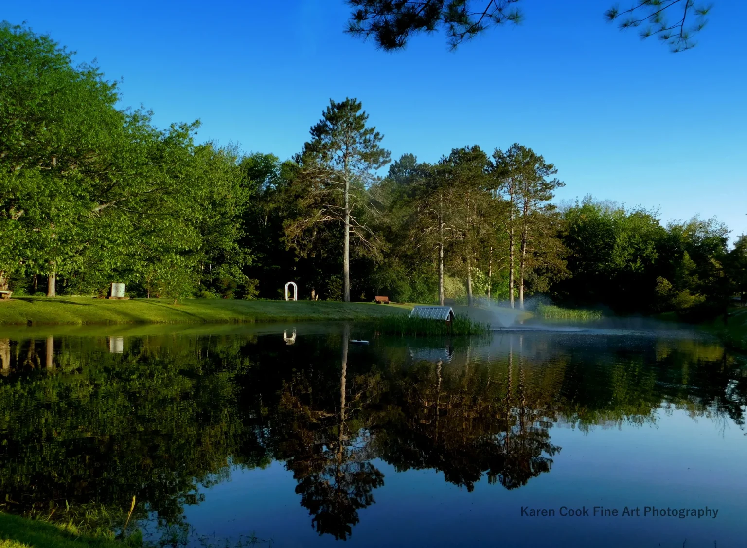 The duck pond at Stronach Park