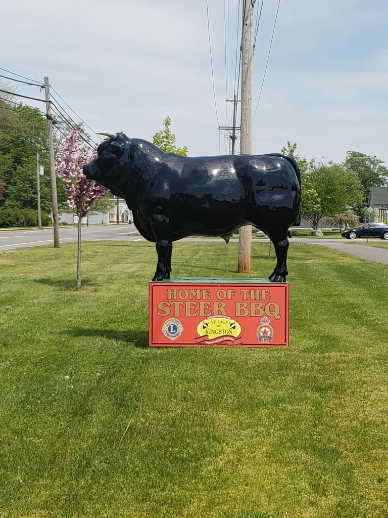 The steer statue in Kingston